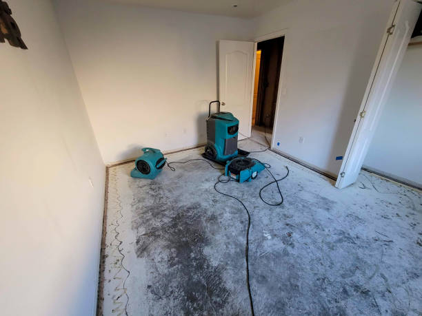 Best Flood restoration services  in Wayne, OH
