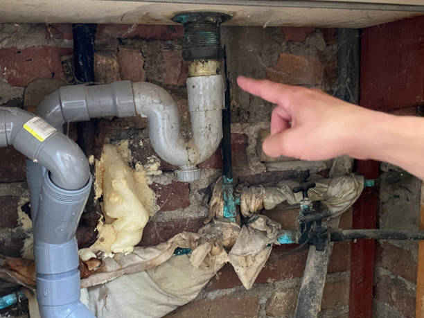 Best Water damage contractors near me  in Wayne, OH