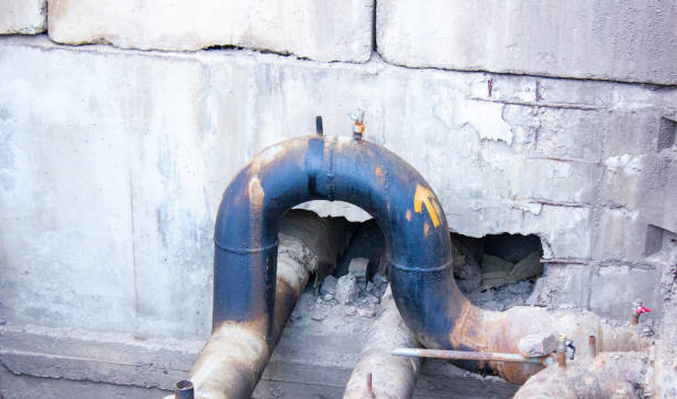Best Basement water damage restoration  in Wayne, OH