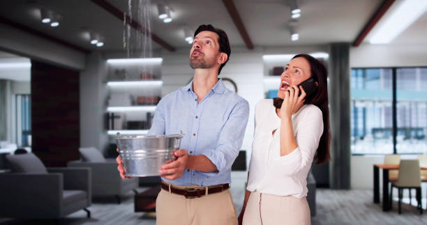 Best Emergency water damage restoration  in Wayne, OH