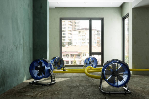 Best Sewage cleanup and water damage restoration  in Wayne, OH